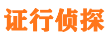 市中市私家侦探